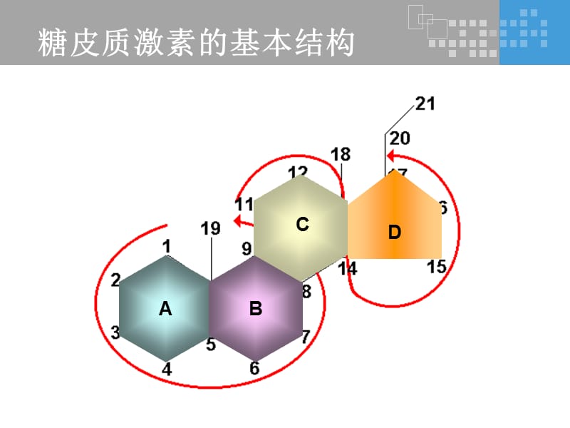 氟輕松是如何發(fā)揮其藥理作用的？